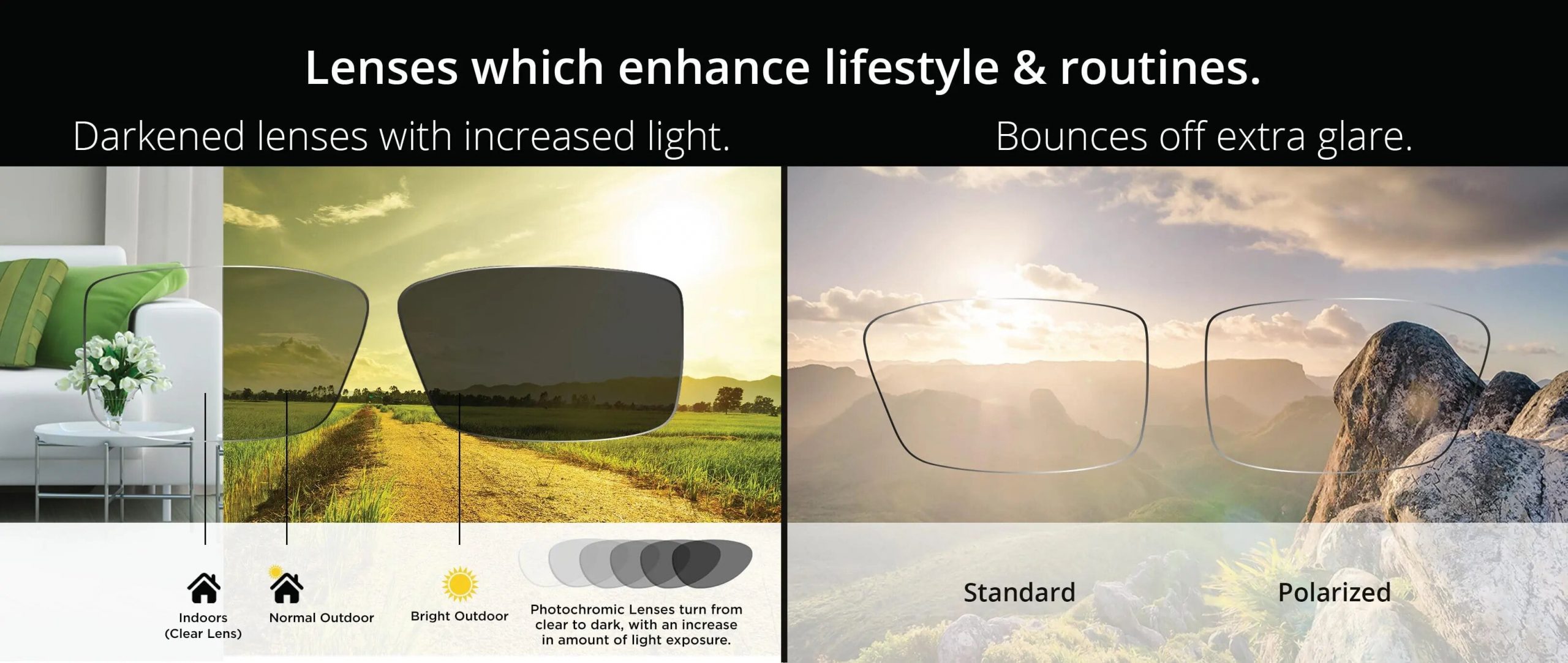 Difference Between Progressive and Transitions® Lenses, Blog